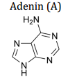 Adenin
