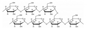 Amylopektin