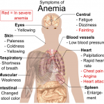 Symptomer på anæmi