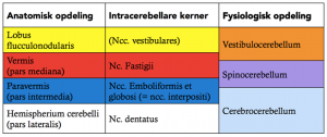 cerebellum-tabel