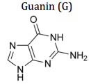 Guanin