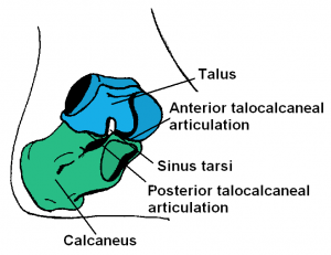 Subtalarled