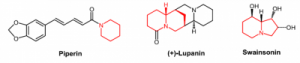 400px-lysinalkaloider