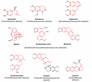 400px-tyrosinalkaloider