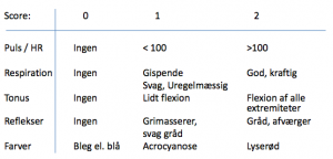 Skema til apgar score