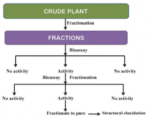 Princippet bag bioassay-guided fraktionering 