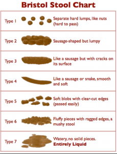 Bristol Stool Chart