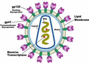 HIV