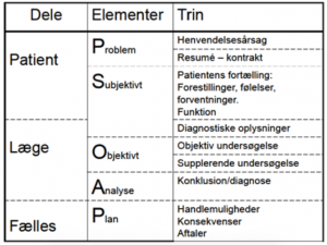 PSOAP-modellen