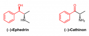 phenylalaninalkaloider