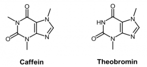 purinalkaloid