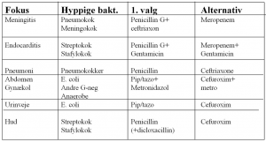 Antibiotikavalg ved kendt fokus