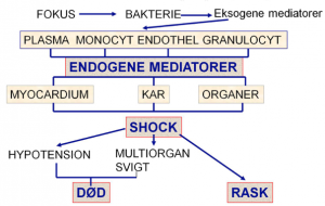 Mekanisme for udvikling af sepsis