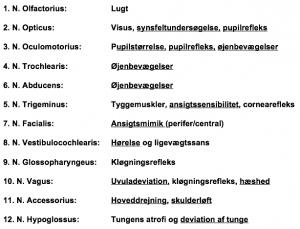 test-kranienerver